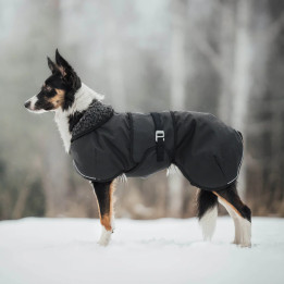 Hybrido Arctic | Veste hiver laine mérinos chien