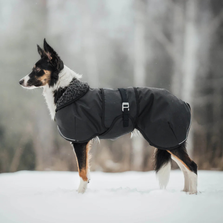 Hybrido Arctic | Veste hiver laine mérinos chien