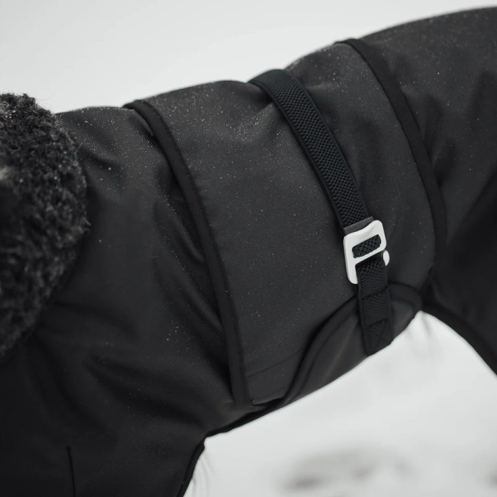 Hybrido Arctic | Veste hiver laine mérinos chien