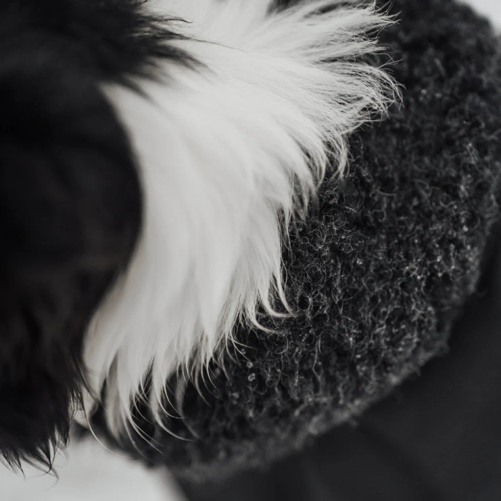 Hybrido Arctic | Veste hiver laine mérinos chien