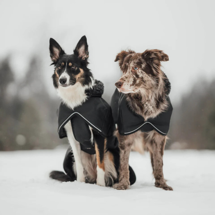 Hybrido Arctic | Veste hiver laine mérinos chien