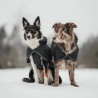 VESTE EN LAINE HYBRIDO ARCTIC