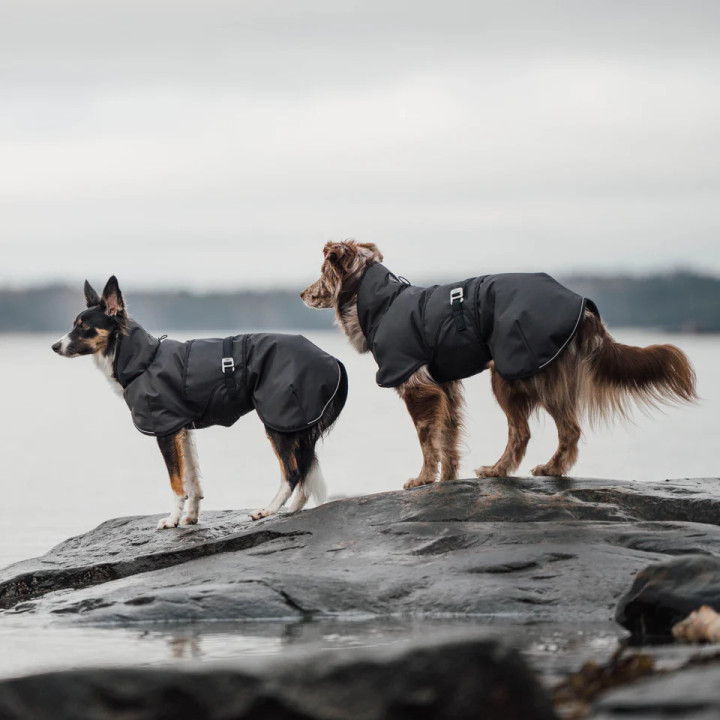 Hybrido Arctic | Veste hiver laine mérinos chien