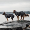 VESTE EN LAINE HYBRIDO ARCTIC