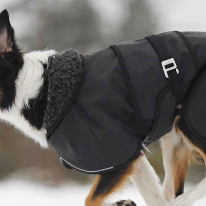 Hybrido Arctic | Veste hiver laine mérinos chien