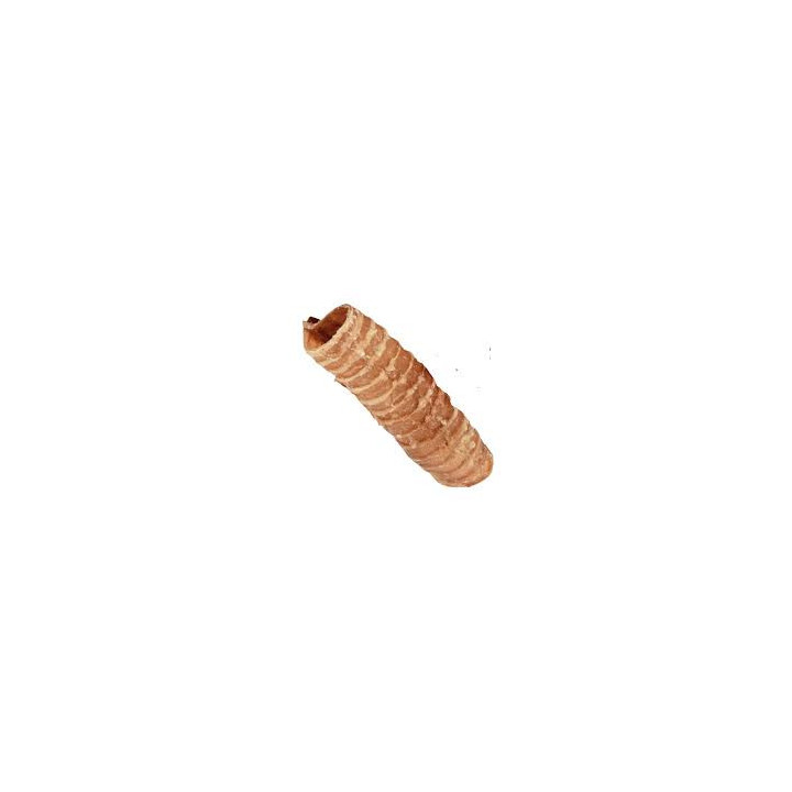 Trachées de bœuf 15 cm 500 g | Mastication naturelle chien