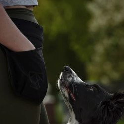 Ceinture entraînement Reward Belt POCKY hundlands
