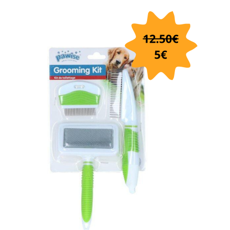 Grooming kit Ensemble brosses et peignes Pawise Pet (prix initial 12.50€)