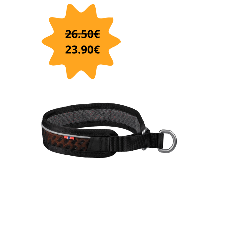 Non-stop Dogwear Rock Collar 55 cm | Collier chien