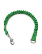 bungee to leash amorti pour laisse 25mm 30cm