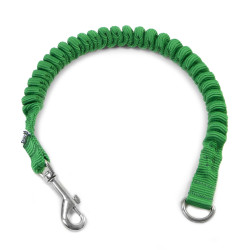 bungee to leash amorti pour laisse 25mm 30cm