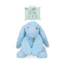 Cozy Dog Bunny Lapin douillet