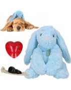 Cozy Dog Bunny Lapin douillet