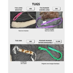 Catalogue tug