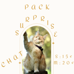 Pack surprise chat (s ou m)
