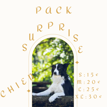 Pack surprise chien (s, m, l et xl)
