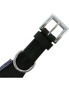 Ancol Greyhound Collier rembourré pour lévrier 34 à 43cm