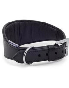 Ancol Greyhound Collier rembourré pour lévrier 34 à 43cm