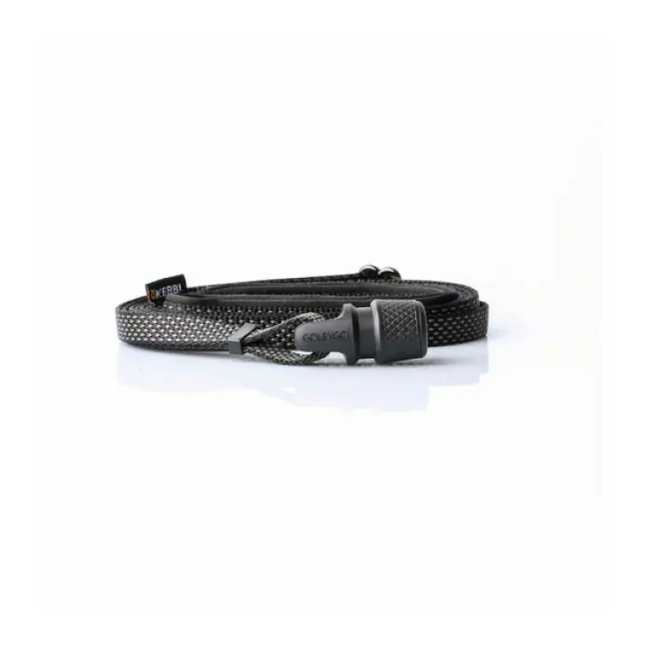 Laisse plate aimantée GoLeyGo 2.0 140-200cm/20mm pour chien jusqu'à 60kg