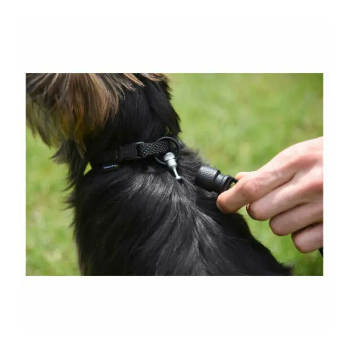 Laisse plate aimantée GoLeyGo 2.0 140-200cm/20mm pour chien jusqu'à 60kg