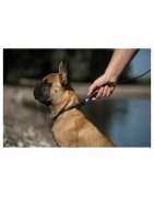 Laisse plate aimantée GoLeyGo 2.0 140-200cm/20mm pour chien jusqu'à 60kg