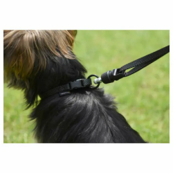 Laisse plate aimantée GoLeyGo 2.0 140-200cm/20mm pour chien jusqu'à 60kg
