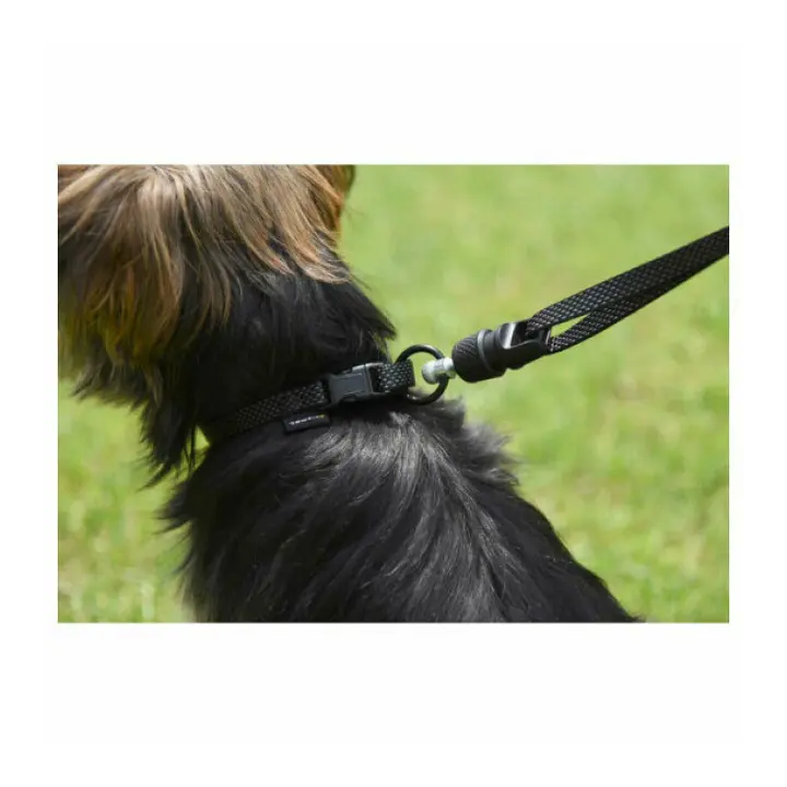 Laisse plate aimantée GoLeyGo 2.0 140-200cm/20mm pour chien jusqu'à 60kg