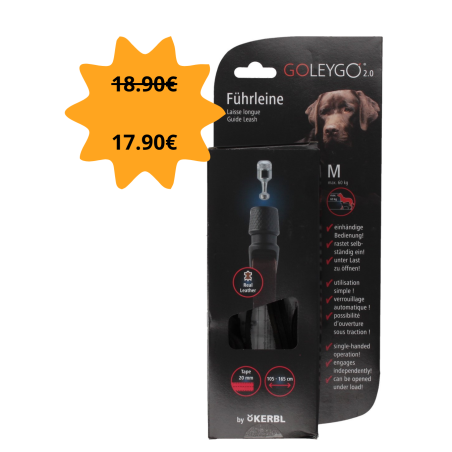 Laisse plate aimantée GoLeyGo 2.0 140-200cm/20mm pour chien jusqu'à 60kg