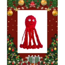 Gor reef Holiday Rood rouge EDITION LIMITEE