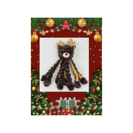 Gor reef Holiday Reindeer renne EDITION LIMITEE