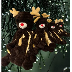 Gor reef Holiday Reindeer renne EDITION LIMITEE