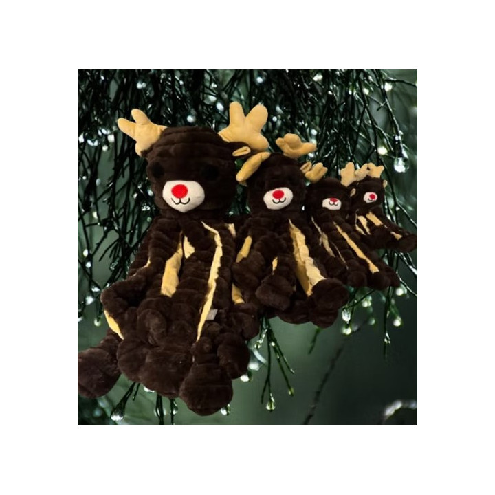 Gor reef Holiday Reindeer renne EDITION LIMITEE