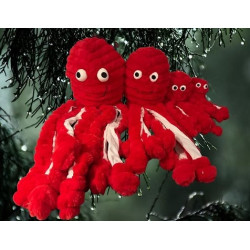 Gor reef Holiday Rood rouge EDITION LIMITEE