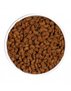 Ownat classic sterilized (chat)