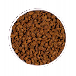 Ownat classic sterilized (chat)