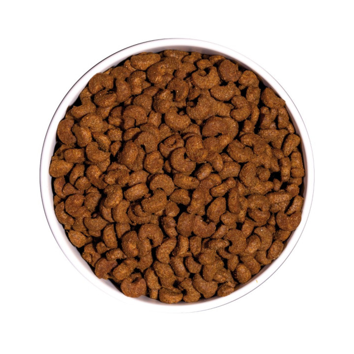 Ownat classic sterilized (chat)