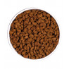 Ownat classic sterilized (chat)
