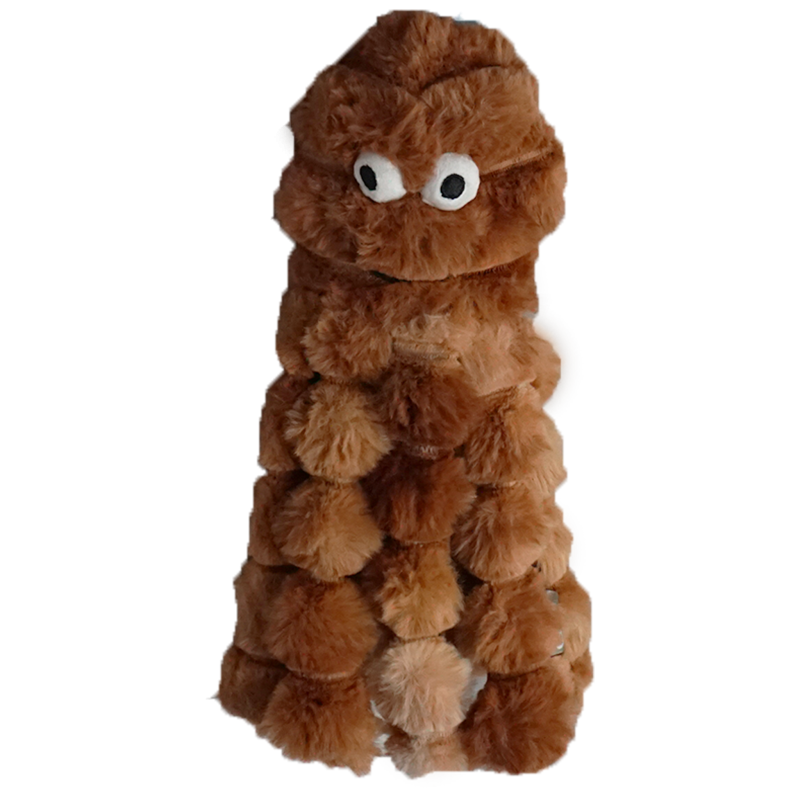 Gor reef booble Octopus pieuvre