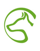 Catalogue Speed dogsport ( nous contacter)