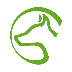 Catalogue Speed dogsport ( nous contacter)