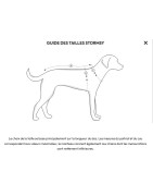 veste de pluie Raincoat STORMSY hundlands