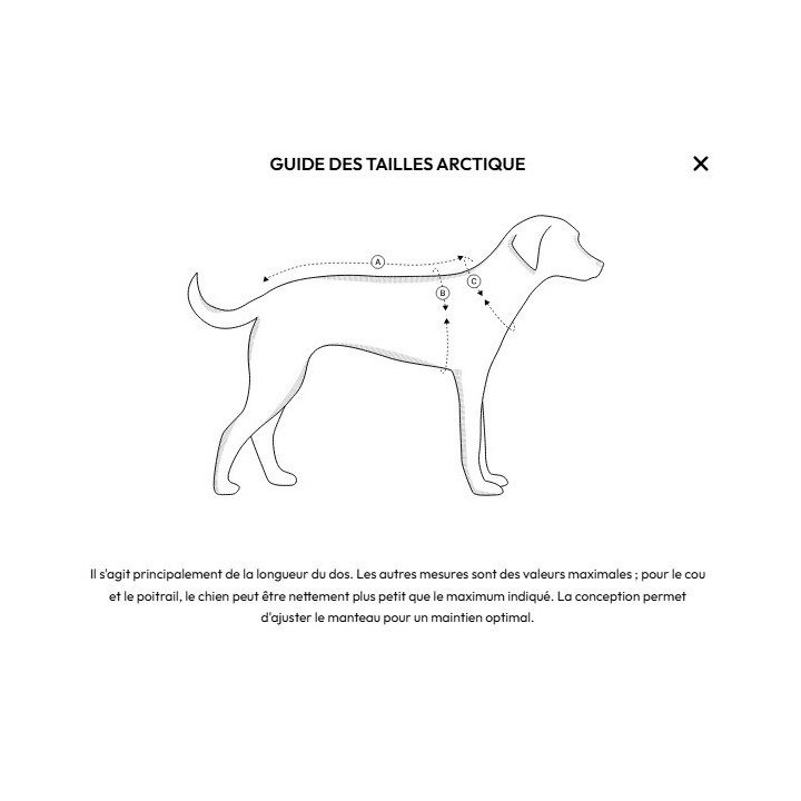 Hybrido Arctic | Veste hiver laine mérinos chien