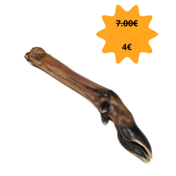 Patte de cerf sans poils