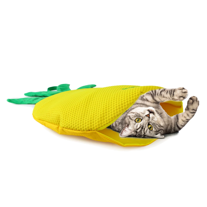 Tapis de jeu chat AFP Green Rush | Ananas Catnip