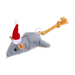 Souris vibrante