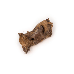 Museau de bœuf avec poils