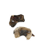 Museau de bœuf avec poils