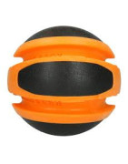 Dog comets planet sun