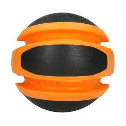 Dog comets planet sun