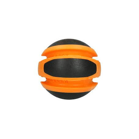 Dog comets planet sun